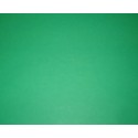 Double Sided Green Origami Paper - 220mm - 15 sheets