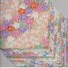 Mixed Prints of High-Quality Washi Paper - 100mm - 20 sheets