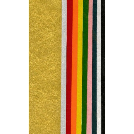 10 Mixed Colors of Momigami Washi - 220mm x 30mm