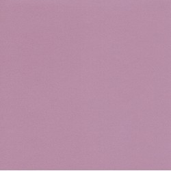 TANT Lavender- 250mm - 20 Sheets