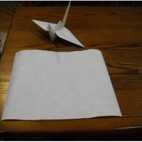 Plain White Tyvek - 600mm (24 inches)